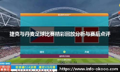 捷克与丹麦足球比赛精彩回放分析与赛后点评