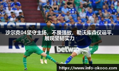 沙尔克04坚守主场，不畏强敌，勒沃库森仅逼平，展现坚韧实力